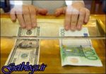 سود دلار هم منحرف شد ، شرایط متفاوت سپردهگذاری ارزی